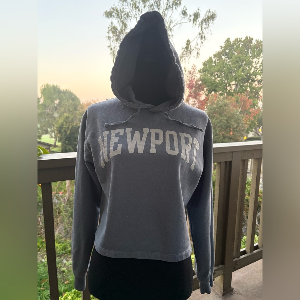 Brandy Melville Light Blue Newport Crop Hoodie Sweatshirt One Size
